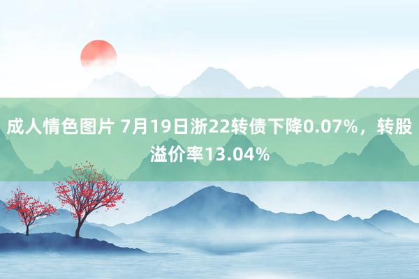 成人情色图片 7月19日浙22转债下降0.07%，转股溢价率13.04%