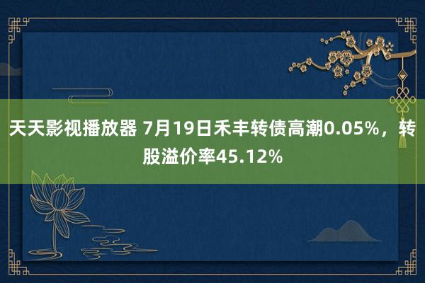 天天影视播放器 7月19日禾丰转债高潮0.05%，转股溢价率45.12%