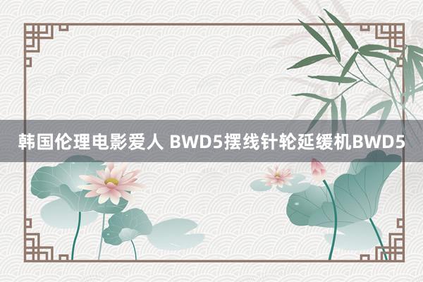 韩国伦理电影爱人 BWD5摆线针轮延缓机BWD5