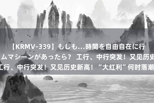 【KRMV-339】もしも…時間を自由自在に行ったり来たりできるタイムマシーンがあったら？ 工行、中行突发！又见历史新高！“大红利”何时落潮？