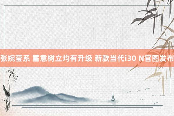 张婉莹系 蓄意树立均有升级 新款当代i30 N官图发布