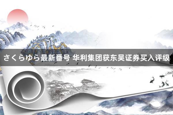 さくらゆら最新番号 华利集团获东吴证券买入评级