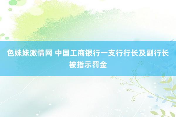 色妹妹激情网 中国工商银行一支行行长及副行长被指示罚金