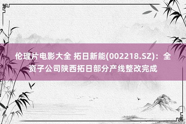 伦理片电影大全 拓日新能(002218.SZ)：全资子公司陕西拓日部分产线整改完成