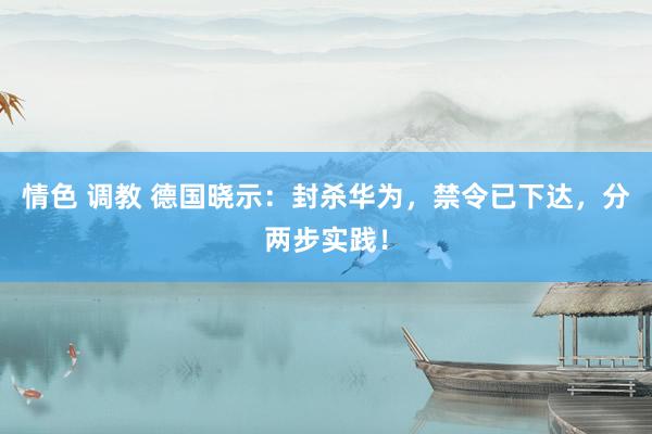 情色 调教 德国晓示：封杀华为，禁令已下达，分两步实践！