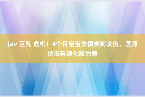 jav 巨乳 危机！4个月宝宝失慎被狗咬伤，医师伏击料理化险为夷