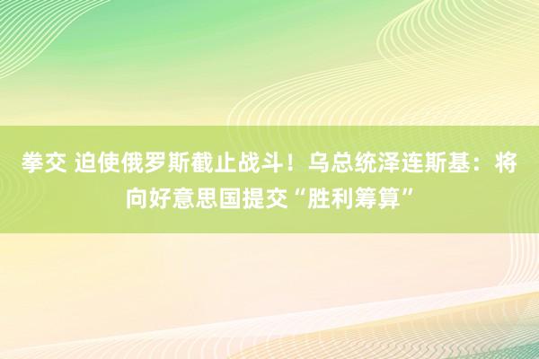 拳交 迫使俄罗斯截止战斗！乌总统泽连斯基：将向好意思国提交“胜利筹算”