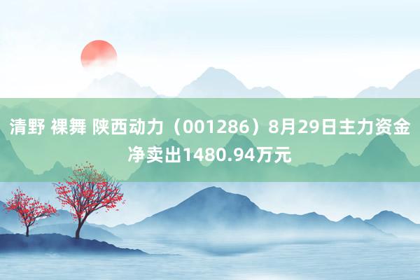 清野 裸舞 陕西动力（001286）8月29日主力资金净卖出1480.94万元