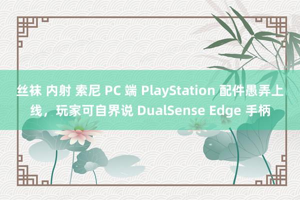 丝袜 内射 索尼 PC 端 PlayStation 配件愚弄上线，玩家可自界说 DualSense Edge 手柄