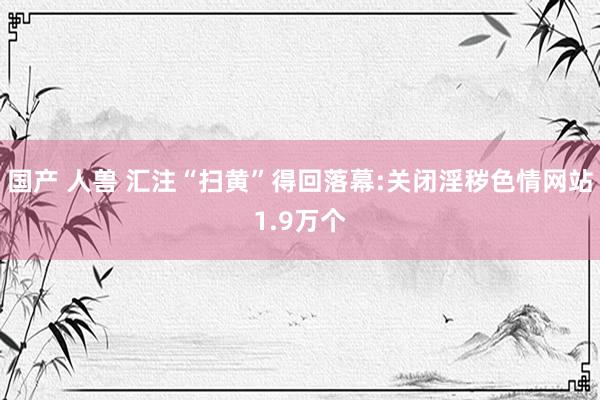 国产 人兽 汇注“扫黄”得回落幕:关闭淫秽色情网站1.9万个