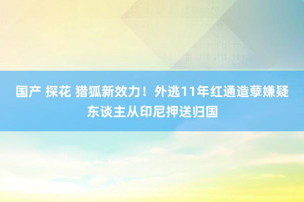 国产 探花 猎狐新效力！外逃11年红通造孽嫌疑东谈主从印尼押送归国