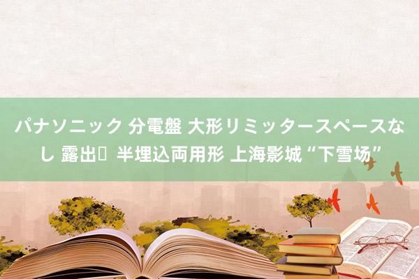 パナソニック 分電盤 大形リミッタースペースなし 露出・半埋込両用形 上海影城“下雪场”