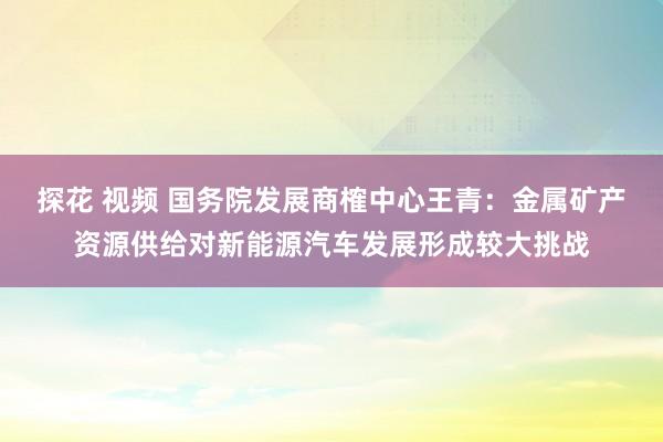 探花 视频 国务院发展商榷中心王青：金属矿产资源供给对新能源汽车发展形成较大挑战