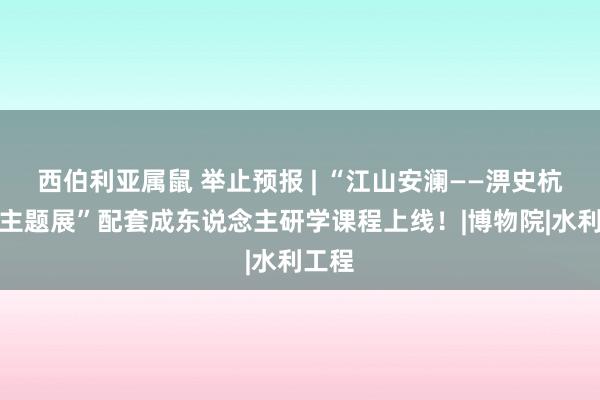 西伯利亚属鼠 举止预报 | “江山安澜——淠史杭灌区主题展”配套成东说念主研学课程上线！|博物院|水利工程