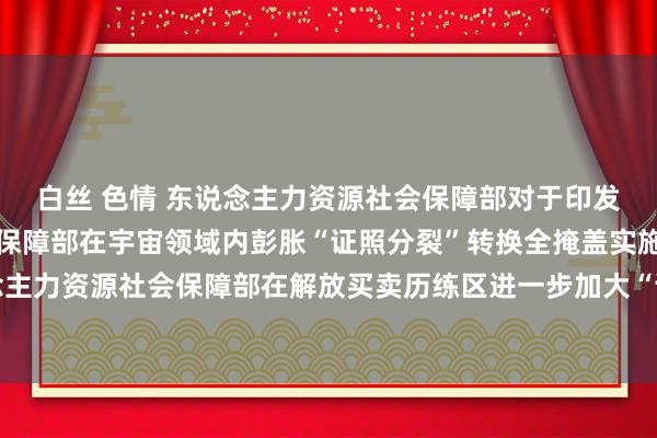 白丝 色情 东说念主力资源社会保障部对于印发《东说念主力资源社会保障部在宇宙领域内彭胀“证照分裂”转换全掩盖实施决策》《东说念主力资源社会保障部在解放买卖历练区进一步加大“证照分裂”转换力度试点实施决策》的讲演