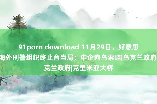 91porn download 11月29日，好意思机穿越台海；海外刑警组织终止台当局；中企向乌索赔|乌克兰政府|克里米亚大桥