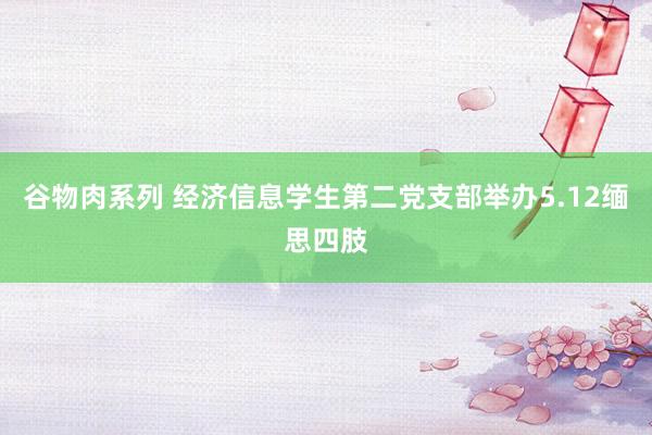 谷物肉系列 经济信息学生第二党支部举办5.12缅思四肢