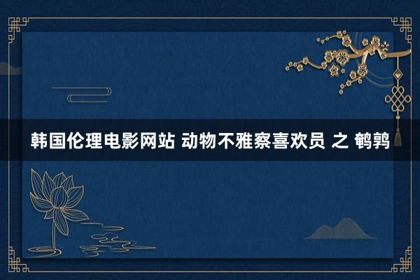韩国伦理电影网站 动物不雅察喜欢员 之 鹌鹑